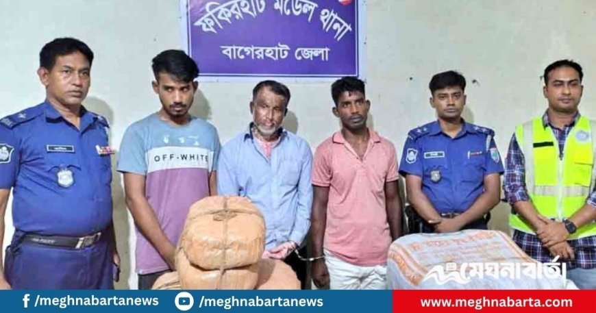 ফকিরহাটে ২০ কেজি গাঁজাসহ তিন মাদক কারবারি গ্রেপ্তার