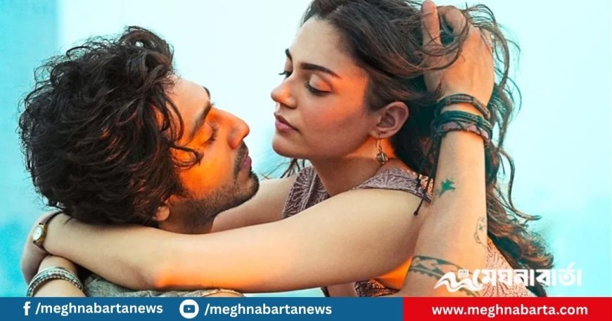 বলিউডে নতুন জুটি, বক্স অফিসে তাণ্ডব! ৬ দিনে সাইয়ারা’র আয় কত