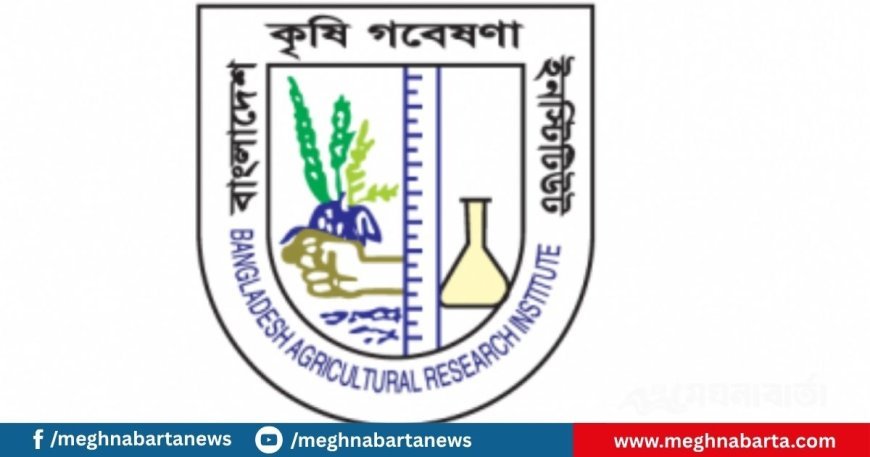 কৃষি গবেষণা ইনস্টিটিউটে বিভিন্ন গ্রেডে নিয়োগ
