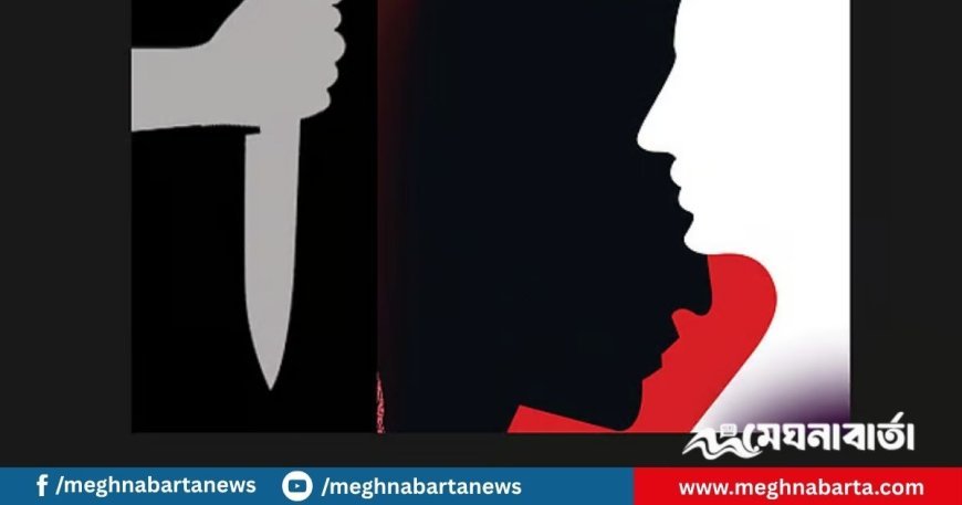 বাবা-ছেলের পরিচয়ে ভ্যান ভাড়া, পথে চালককে ছুরিকাঘাত করে ছিনতাই