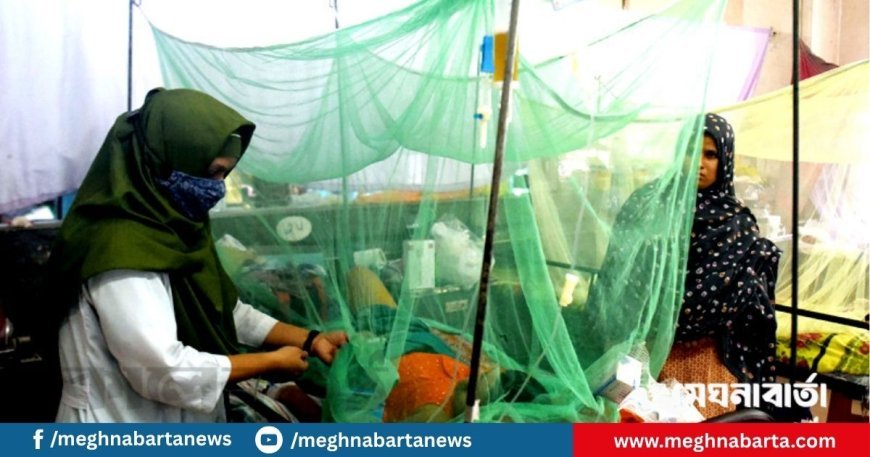 ডেঙ্গুতে আরো ৩ জনের মৃত্যু, হাসপাতালে ৩৩১