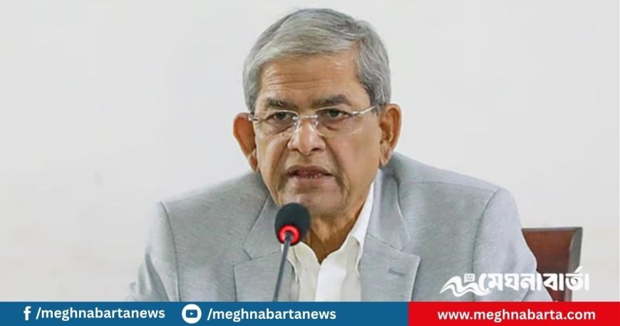 কয়েকজন ব্যক্তিকে বিদেশ থেকে ভাড়া করে এনে দেশ চালানো যায় না: মির্জা ফখরুল