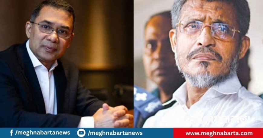 তারেক-বাবরের খালাসের বিরুদ্ধে আপিল শুনানি আজ