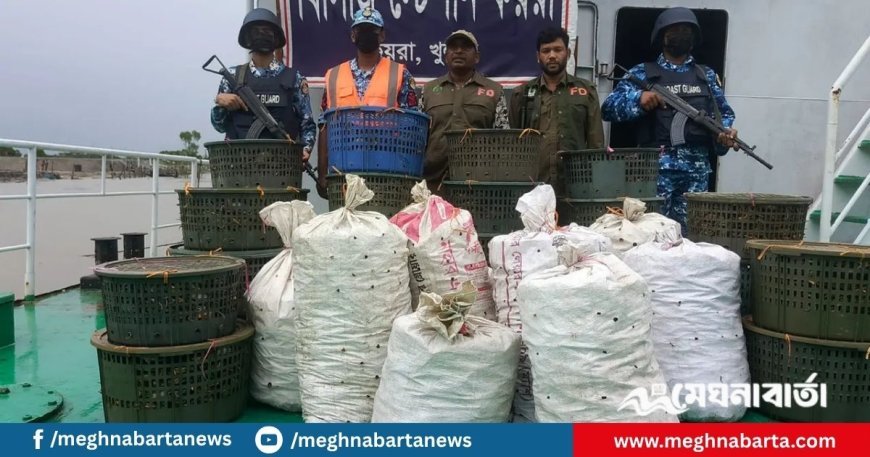 সুন্দরবনে ট্রলারসহ ৭০০ কেজি কাঁকড়া জব্দ