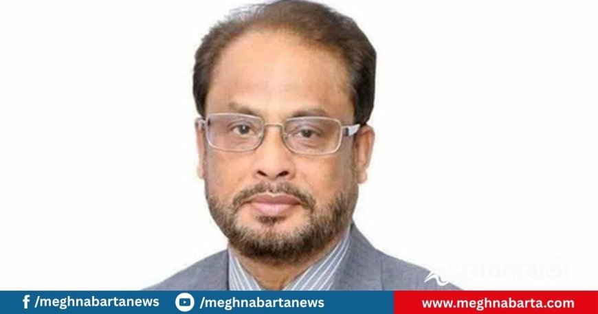 ‘দেশের সংকটে জাতীয় পার্টির মতো শক্তিশালী বিরোধী দলের ভূমিকা গুরুত্বপূর্ণ’