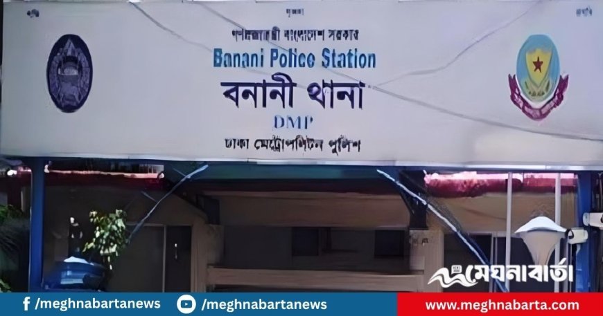 এয়ারপোর্ট থেকে বের হয়েই ছিনতাইয়ের কবলে লন্ডনপ্রবাসী