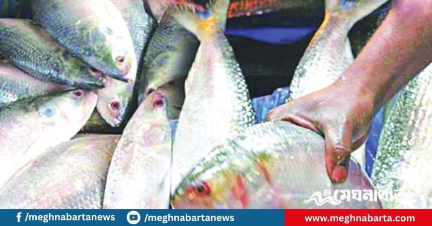 দুর্গাপূজায় ইলিশ চেয়ে বাংলাদেশকে পশ্চিমবঙ্গের ব্যবসায়ীদের চিঠি
