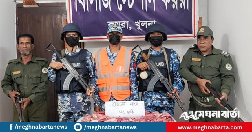 নির্জন পথে হরিণের মাংস নিয়ে ফিরছিলেন শিকারিরা, কোস্টগার্ড দেখে পালালেন