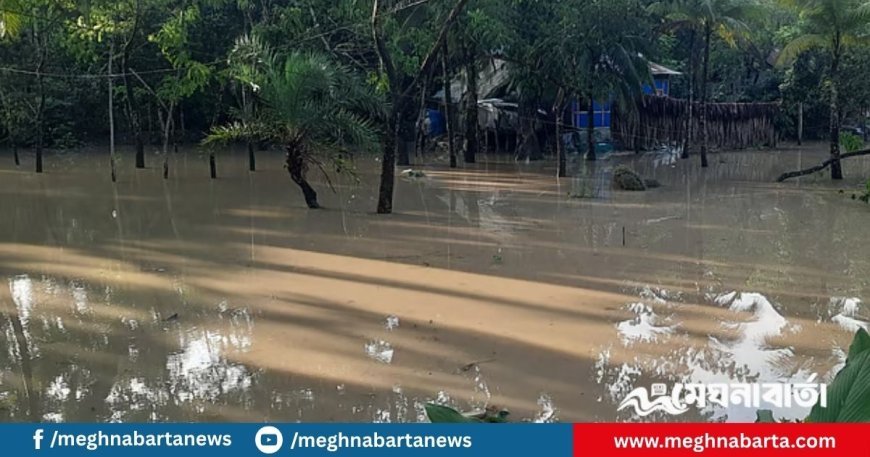 ভোলার ধনিয়া-শিবপুরের বাঁধের বাইরের ৭০০ পরিবার জোয়ারের পানিতে প্লাবিত