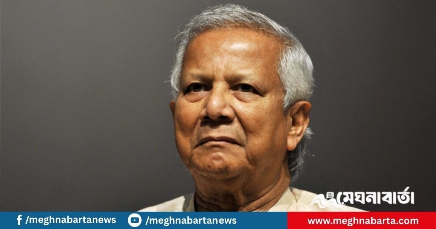 চামড়াশিল্পের সঠিক মূল্যায়ন হয়নি : ইউনুস