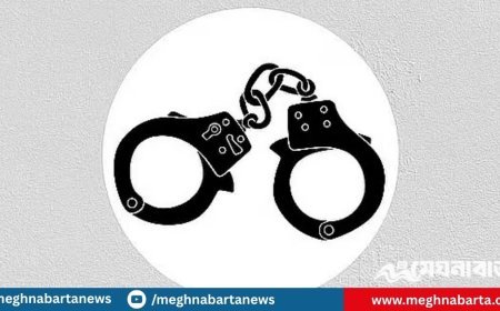 সারা দেশে গত ২৪ ঘণ্টায় পুলিশের অভিযানে গ্রেপ্তার ১২৬১