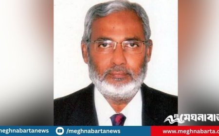 পরমাণু বিজ্ঞানী ড. এম শমসের আলী মারা গেছেন