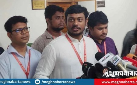 নির্বাচন কমিশন সামরিক ও দলীয় পোশাকে আবৃত: নাসীরুদ্দীন পাটওয়ারী