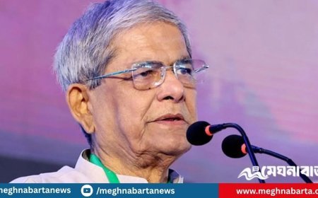 এই দেশে ফ্যাসিস্ট হাসিনাকে আর রাজনীতি করতে দেব না : মির্জা ফখরুল