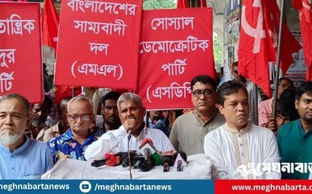 অন্তর্বর্তী সরকারের পদত্যাগ দাবি করলো গণতান্ত্রিক বাম ঐক্য