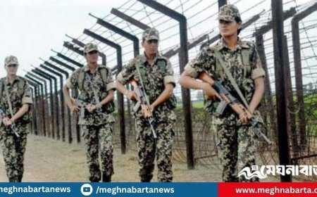 সাতক্ষীরা সীমান্তে বাংলাদেশি ব্যবসায়ীকে বিএসএফের গুলি