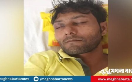 মাছের ঘেরে খাবার দিচ্ছিলেন আলমগীর, হঠাৎ বিএসএফের গুলি