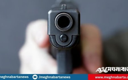 ঢাকায় সাবেক কাউন্সিলরের বোনকে গুলি করে হত্যা