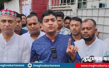 উপদেষ্টা আসিফ মুরাদনগরে মাফিয়াতন্ত্র কায়েম করেছেনঃ ছাত্রদল সম্পাদক নাসির