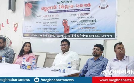 জুলাই নিয়ে একক ব্যক্তির ক্রেডিটের সুযোগ নেই : অধ্যাপক ড. রইস উদ্দিন