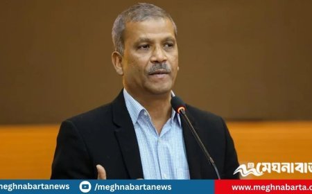 শেখ হাসিনা রাষ্ট্র কনসেপ্টই বুঝতো না : আসিফ নজরুল