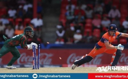 নেদারল্যান্ডসের বিপক্ষে টি-টোয়েন্টি সিরিজের সূচি প্রকাশ করল বিসিবি