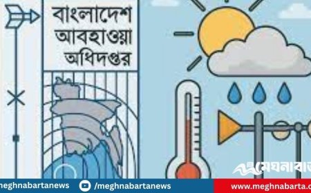 দুপুরের মধ্যে ঢাকাসহ ১২ জেলায় হতে পারে ঝড়বৃষ্টি