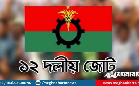১২ দলীয় জোটে যুক্ত হচ্ছে আরও এক দল