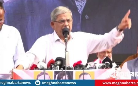 সেনাবাহিনীকে ধন্যবাদ জানালেন মির্জা ফখরুল