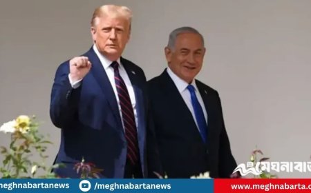 গাজা দখলের সিদ্ধান্তে ইসরায়েলকে বাধা দেবেন না ট্রাম্প