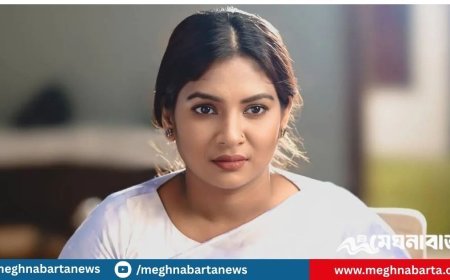 রাজনীতি এখন কারা করে—চক্রান্তকারীরা, না পাগলরা : নীলা ইসরাফিল