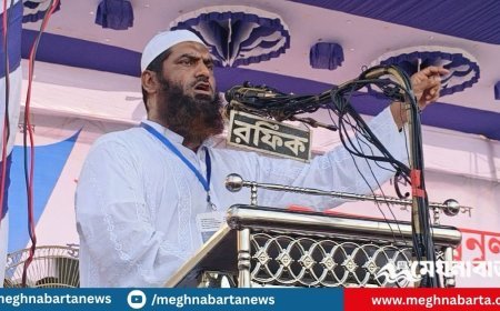 অন্তর্বর্তী সরকার সংস্কারের দায়িত্ব পালনে ব্যর্থ : মামুনুল হক