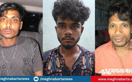 সাংবাদিক তুহিন হত্যা, এখন পর্যন্ত গ্রেপ্তার ৭