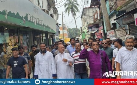 নাটোরে উপদেষ্টা আসিফ মাহমুদের অনুষ্ঠান বয়কট করল জেলা বিএনপি