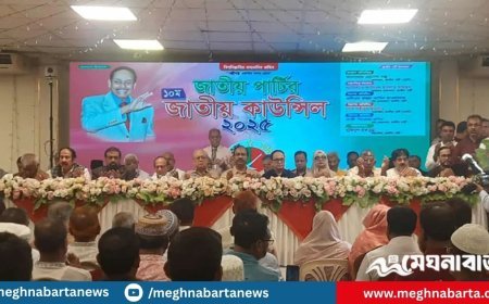 জাপার নবনির্বাচিত চেয়ারম্যান আনিসুল, মহাসচিব রুহুল আমীন