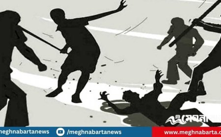 স্বজন রাস্তা না চেনায় গেলেন এগিয়ে আনতে, পথে দুজনকেই পিটিয়ে হত্যা