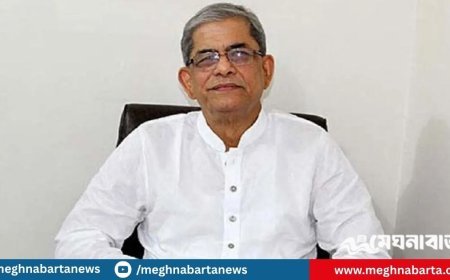 অন্তর্বর্তী সরকারের উপদেষ্টাদের সততার ওপর পূর্ণ আস্থা রয়েছে: মির্জা ফখরুল