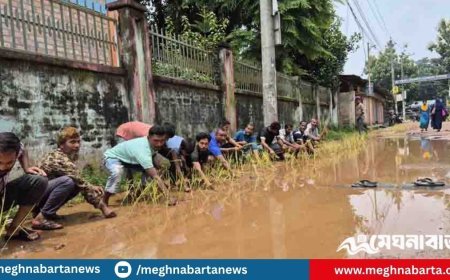 ঠাকুরগাঁওয়ে সংস্কারের দাবিতে পৌরসভার সড়কে ধান রোপণ