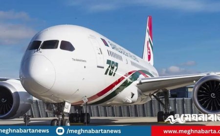 রোমে আটকা বিমানের ড্রিমলাইনার, ২৬২ যাত্রী হোটেলে