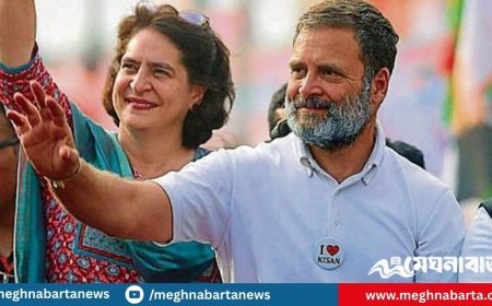 ভারতে রাহুল গান্ধী ও প্রিয়াঙ্কা গান্ধী আটক
