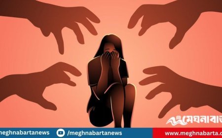ভারতে ২০০ লোকের ধর্ষণের শিকার ১২ বছরের বাংলাদেশি শিশু!