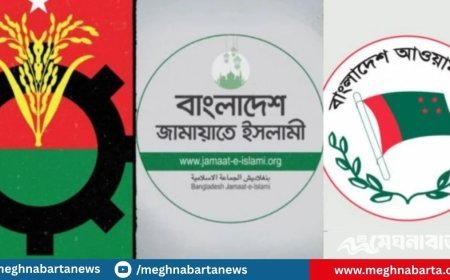 নির্বাচনে কাকে ভোট দেবেন, সিদ্ধান্ত নেননি ৪৮ শতাংশের বেশি মানুষ: জরিপ