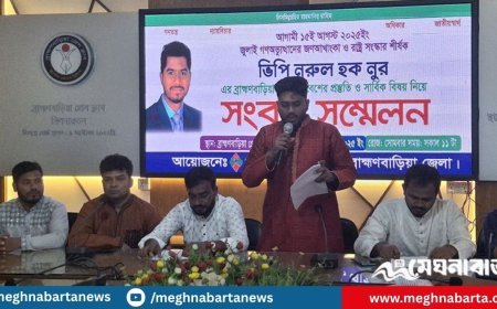 ব্রাহ্মণবাড়িয়ায় ৬ আসনে প্রার্থী দেবে ভিপি নুরের দল, শুক্রবার গণসমাবেশ