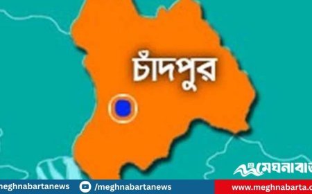 চাঁদপুরে চাচার হাতে ভাতিজা খুন, গ্রেফতার ২