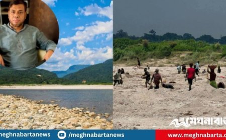 সাদাপাথর লুট: চাঁদাবাজি, দখলবাজির অভিযোগে অভিযুক্ত কোম্পানীগঞ্জ উপজেলা বিএনপি সভাপতি