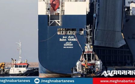 সৌদির জাহাজে করে আনা হচ্ছিল ইসরায়েলি অস্ত্র
