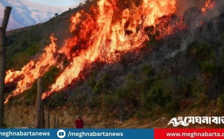দক্ষিণ ইউরোপজুড়ে ভয়াবহ দাবানল, ঘরছাড়া হাজার হাজার মানুষ
