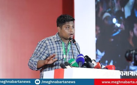 ডিজিএফআইয়ের বিরুদ্ধে যথাযথ ব্যবস্থা নিতে হবে: হাসনাত আবদুল্লাহ