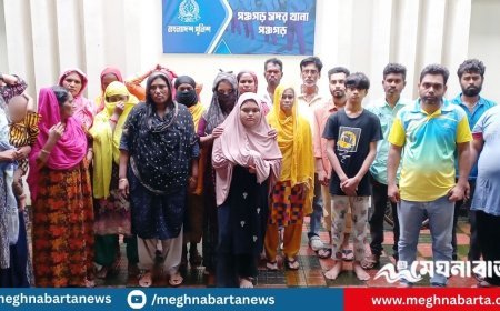 পঞ্চগড় সীমান্তে ২৩ জনকে বিএসএফের পুশ ইন