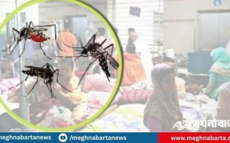 ২৪ ঘণ্টায় ডেঙ্গুতে একজনের মৃত্যু, হাসপাতালে ৩২৫